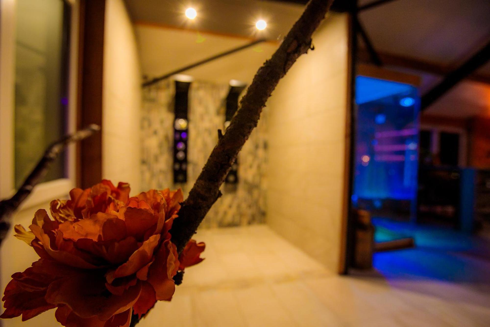 B&B En Wellness De Waalhoeve Angerlo Exterior photo